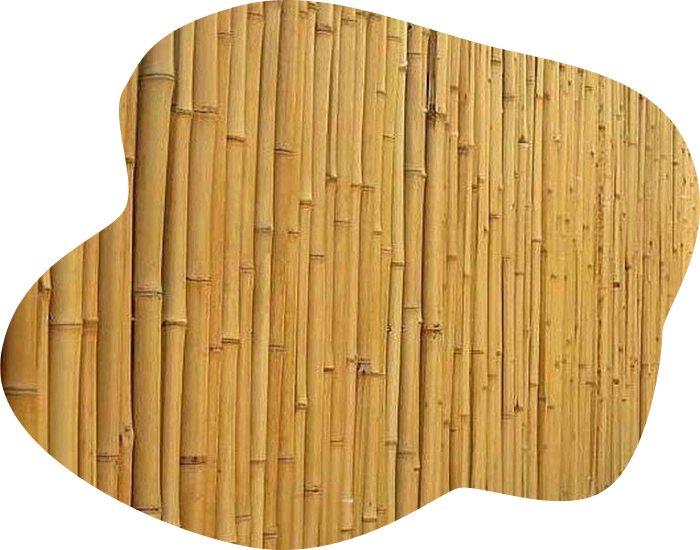 Заборы из бамбука рулонные